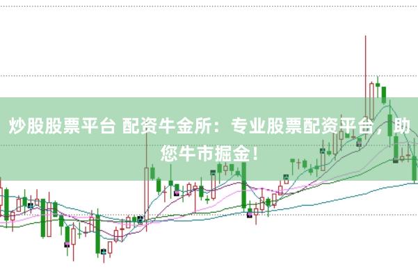 炒股股票平台 配资牛金所：专业股票配资平台，助您牛市掘金！