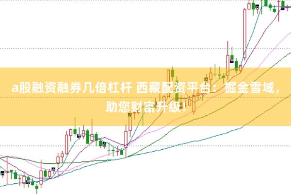 a股融资融券几倍杠杆 西藏配资平台：掘金雪域，助您财富升级！