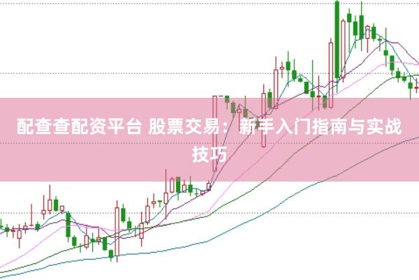 配查查配资平台 股票交易：新手入门指南与实战技巧
