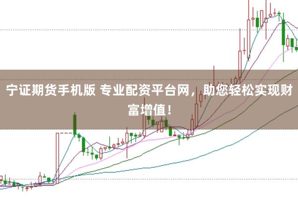 宁证期货手机版 专业配资平台网，助您轻松实现财富增值！