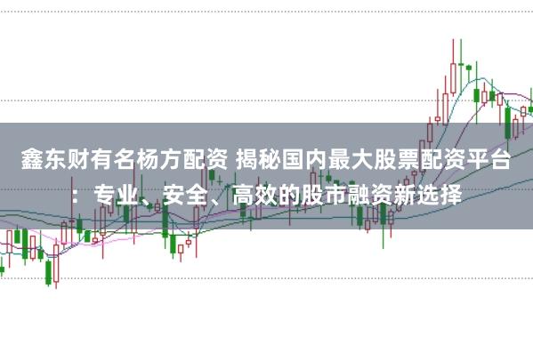 鑫东财有名杨方配资 揭秘国内最大股票配资平台：专业、安全、高效的股市融资新选择