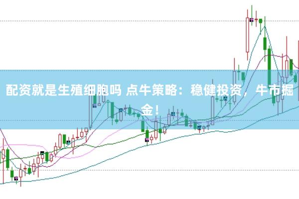 配资就是生殖细胞吗 点牛策略：稳健投资，牛市掘金！