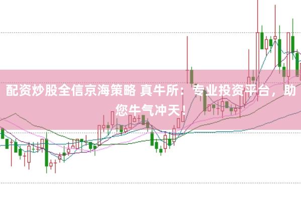 配资炒股全信京海策略 真牛所：专业投资平台，助您牛气冲天！