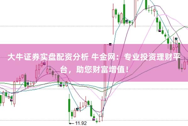 大牛证券实盘配资分析 牛金网：专业投资理财平台，助您财富增值！