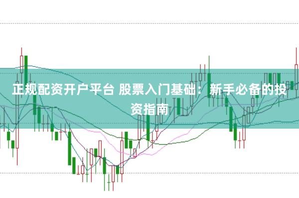 正规配资开户平台 股票入门基础：新手必备的投资指南