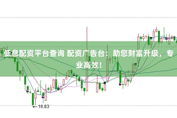 低息配资平台查询 配资广告台：助您财富升级，专业高效！