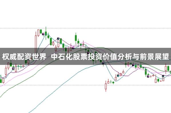 权威配资世界  中石化股票投资价值分析与前景展望