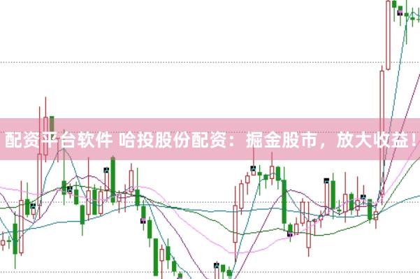 配资平台软件 哈投股份配资：掘金股市，放大收益！
