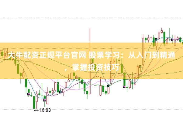 大牛配资正规平台官网 股票学习：从入门到精通，掌握投资技巧