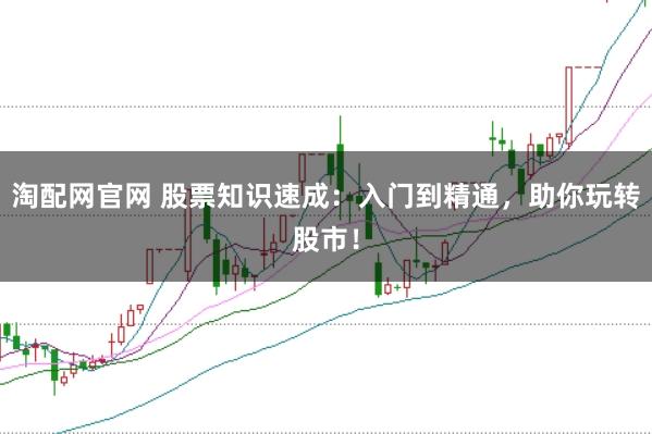 淘配网官网 股票知识速成：入门到精通，助你玩转股市！