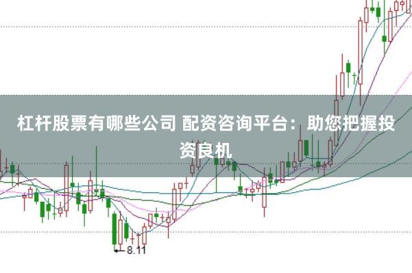 杠杆股票有哪些公司 配资咨询平台：助您把握投资良机