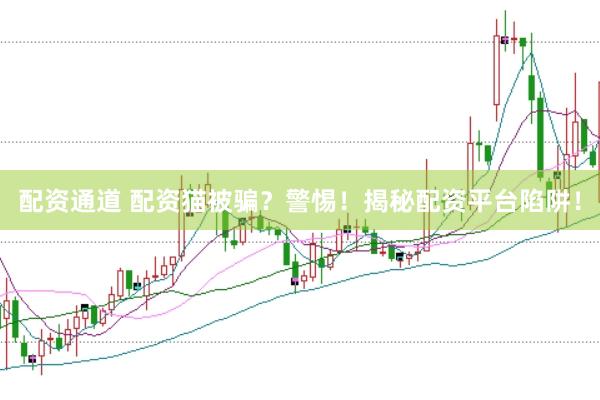 配资通道 配资猫被骗？警惕！揭秘配资平台陷阱！