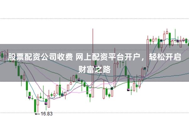 股票配资公司收费 网上配资平台开户，轻松开启财富之路