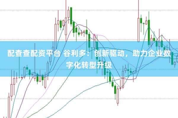 配查查配资平台 谷利多：创新驱动，助力企业数字化转型升级