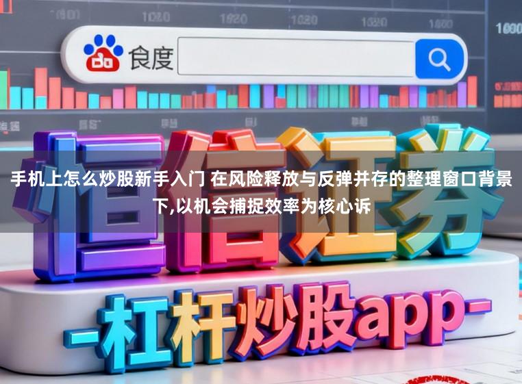 手机上怎么炒股新手入门 在风险释放与反弹并存的整理窗口背景下,以机会捕捉效率为核心诉