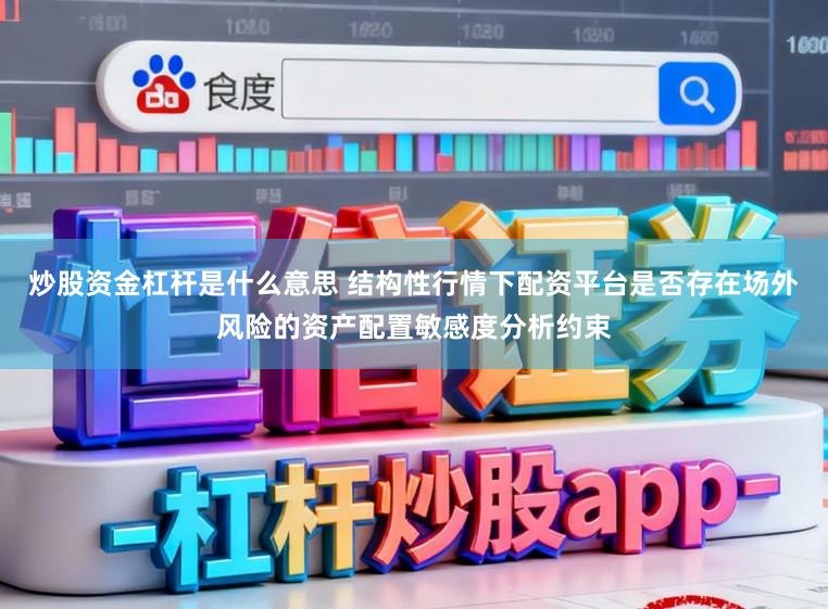 炒股资金杠杆是什么意思 结构性行情下配资平台是否存在场外风险的资产配置敏感度分析约束