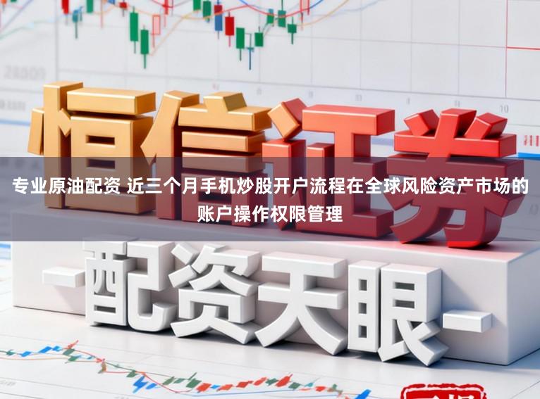 专业原油配资 近三个月手机炒股开户流程在全球风险资产市场的账户操作权限管理