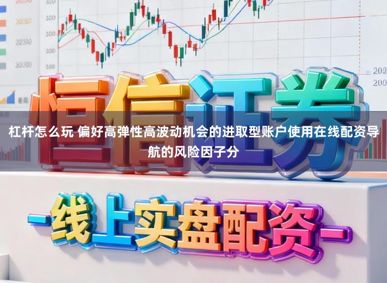 杠杆怎么玩 偏好高弹性高波动机会的进取型账户使用在线配资导航的风险因子分
